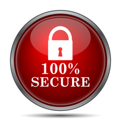 100 percent secure icon