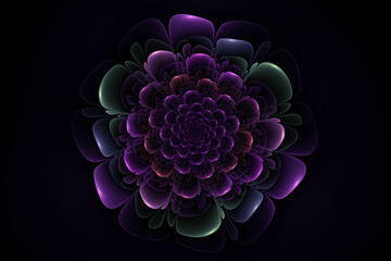 abstract flower fractal element on a black background for art pr