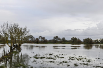Campos alagados