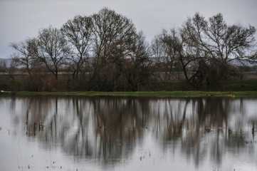 Campos alagados