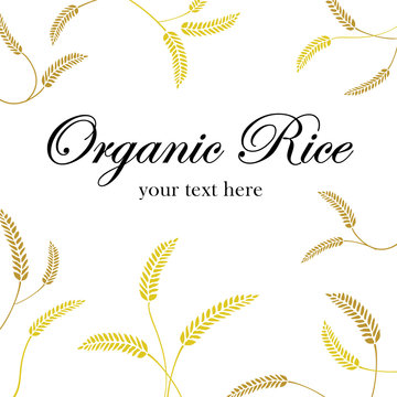 grain organic natural product on white background, concept vector illustration