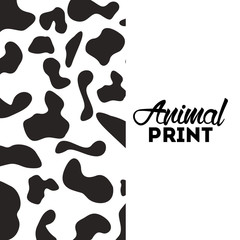 Fototapeta premium animal print 