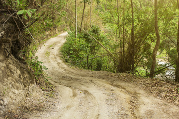 Rural road in the jungle