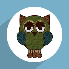 owl icon 