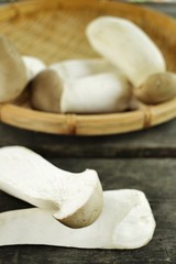 King oyster mushroom -  Eryngii mushroom