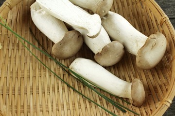 King oyster mushroom -  Eryngii mushroom