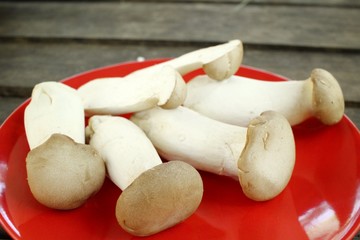 King oyster mushroom -  Eryngii mushroom