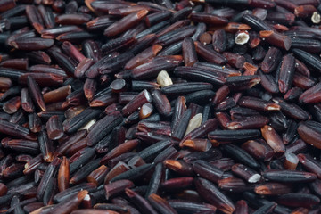 rice berry on rice berry background

