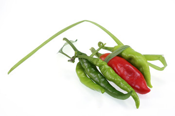 hot chili peppers  on a white background