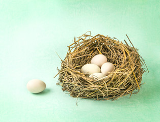 twigs nest with white egg on grunge backgroung