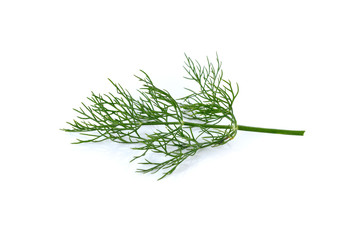fresh gree Dill on white background