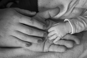 Mains Papa Maman Chaussons Bebe Wall Mural Wallpaper Murals Tydav Photos Mains Papa Maman Chaussons Bebe Wall Mural Wallpaper Murals Tydav Photos