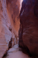 AZ-UT-Paria Canyon Vermillion Cliffs Wilderness-Buckskin Canyon- This is a dark, dank, narrow, spooky, but beautiful, slot canyon,