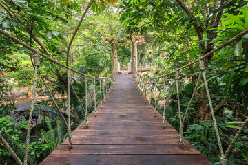 Wood bridge for walking in the garden