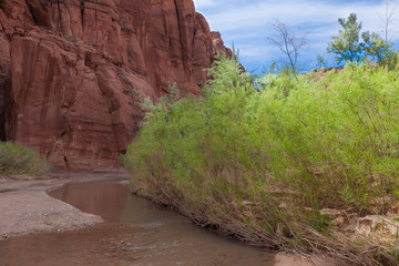 AZ-UT-Paria Canyon-Vermillion Cliffs Wilderness. This image was captured during one of my 40 mile backpacks down the Paria River, experiencing hundreds of stream crossings.