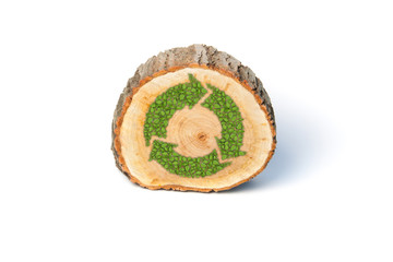 Cross section of tree trunk with recycle symbol, on white