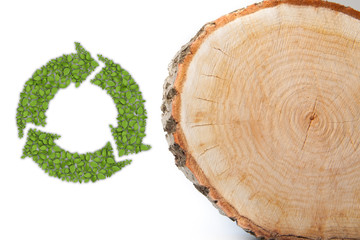 Cross section of tree trunk with recycle symbol, on white