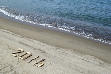 2016年(平成28年)／海岸で拾い集めた流木を“２０１６”に見えるように並べて撮影した写真です。新年用の背景素材として使用できる写真です。