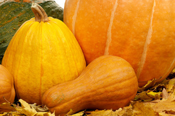 Ripe pumpkins