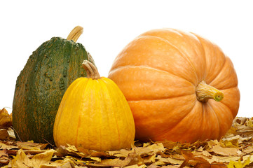 Ripe pumpkins