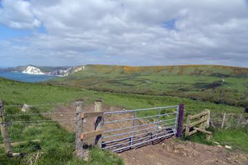 Fototapeta na wymiar Fence on coastal path near Worbarrow Bay, Dorset