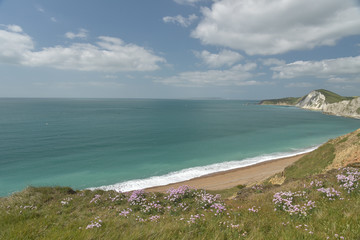 Fototapeta na wymiar View over Worbarrow Bay on Dorset coast