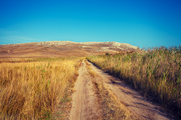 Dirt road in savannah