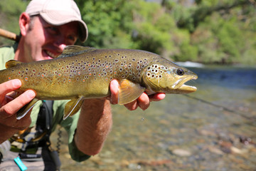 Obraz premium Fly-fisherman holding brown trout recently caught