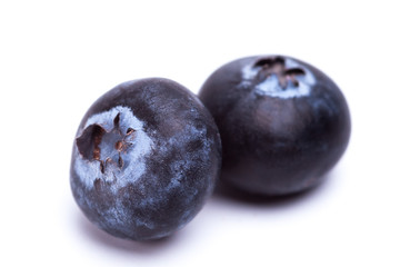 Obraz premium blackberry 