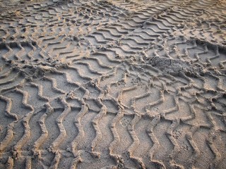 Wheel tracks on the soil.