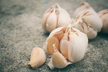 Garlic