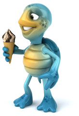 Fun turtle