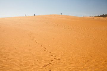 The traveler in the desert