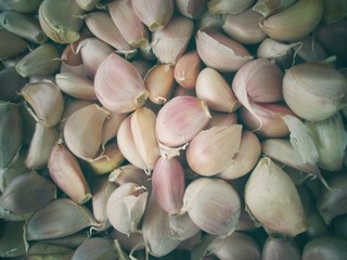 Garlic