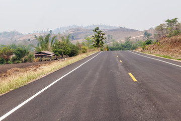 street in nature