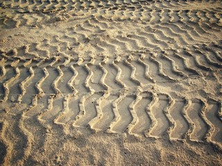 Wheel tracks on the soil.