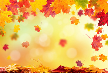 Naklejka premium autumn leaves background