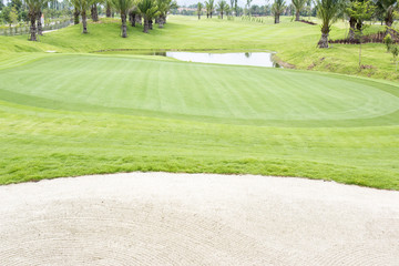 Golf courses , green grass in Thailnad