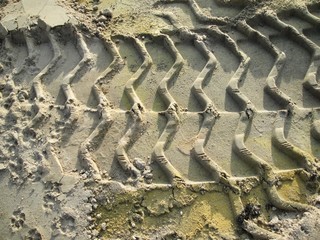 Wheel tracks on the soil.