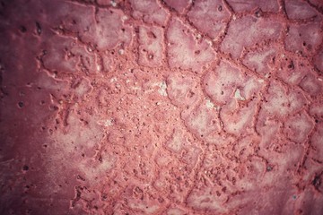 Fototapeta premium Old cracked wall