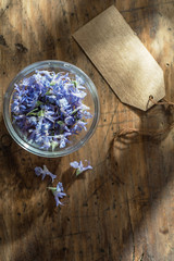 flowers of rosemary in a bowl on wooden background with a blank