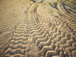 Wheel tracks on the soil.