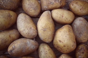 Fresh potatoes