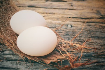 White eggs