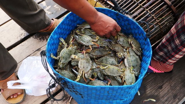 close up of people selling crabs the market in Kep Cambodia.
