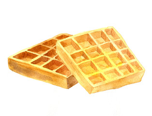 watercolor vector wafers 