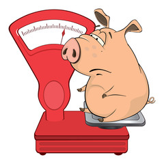 A cute pig farm animal cartoon