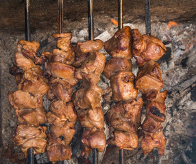 traditional shaslik on grill