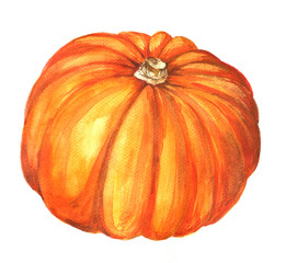 watercolor pumpkin