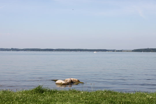fleesensee